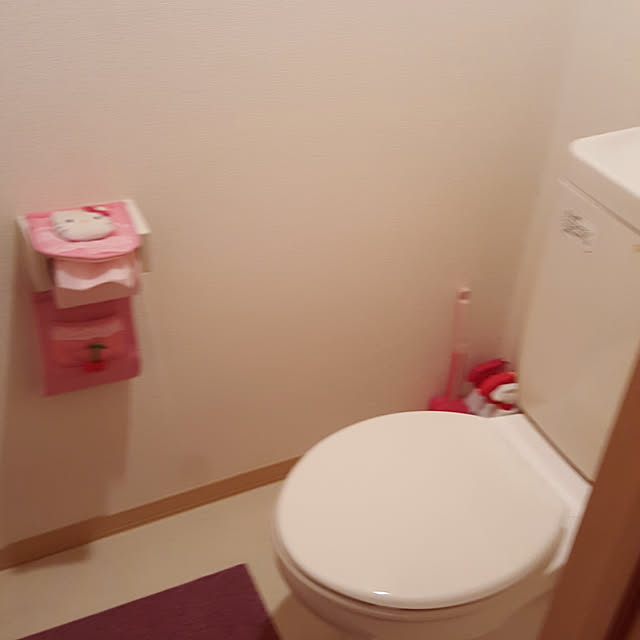 rviさんの実例写真