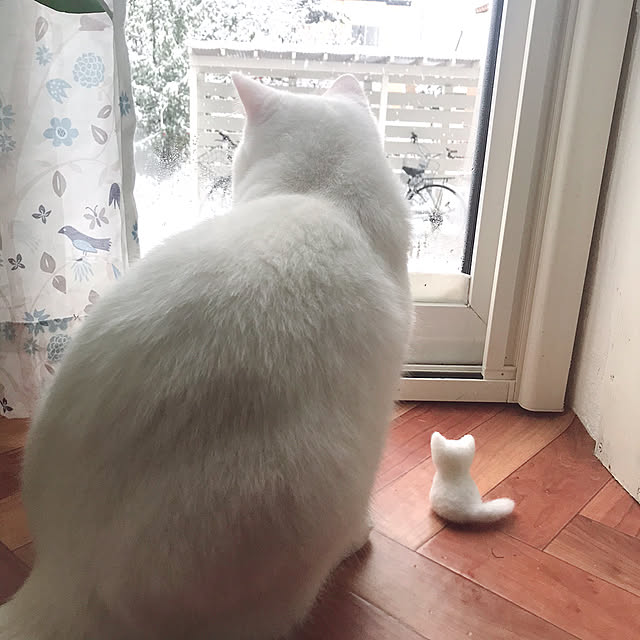 kotoriさんの実例写真
