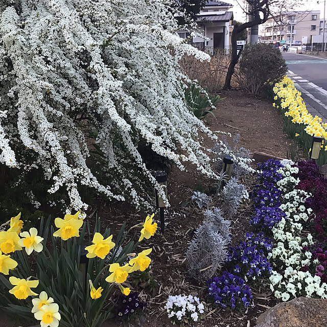 houenさんの部屋