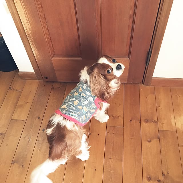 miyaさんの実例写真