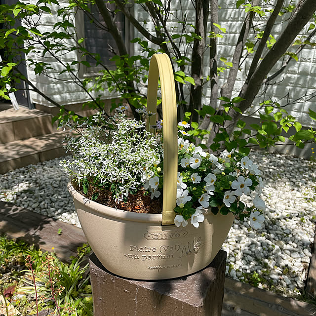 kuikoさんの実例写真