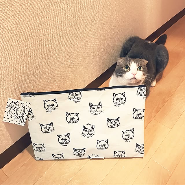 tansukeさんの実例写真