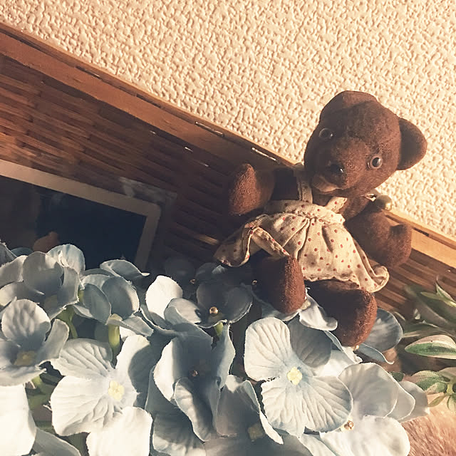 yuuさんの実例写真