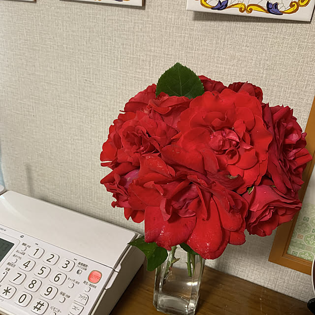komikomiさんの実例写真