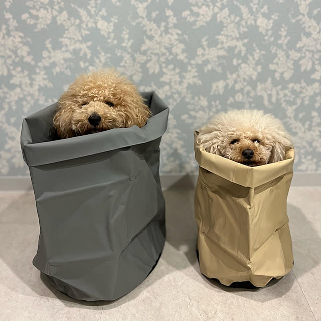lovelovepoodleさんの実例写真