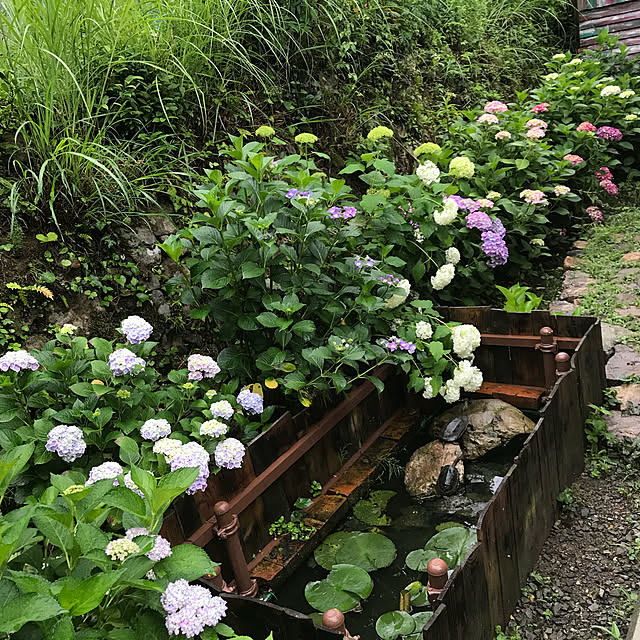 pepeさんの実例写真