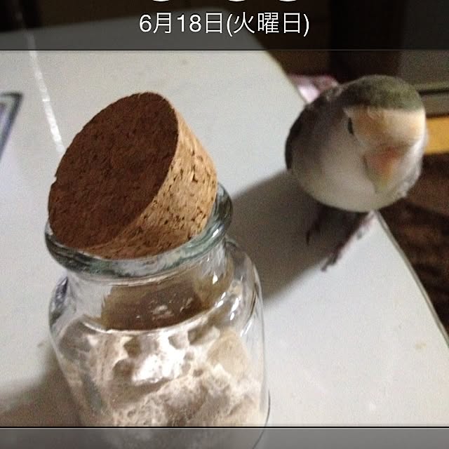 Chicoさんの実例写真