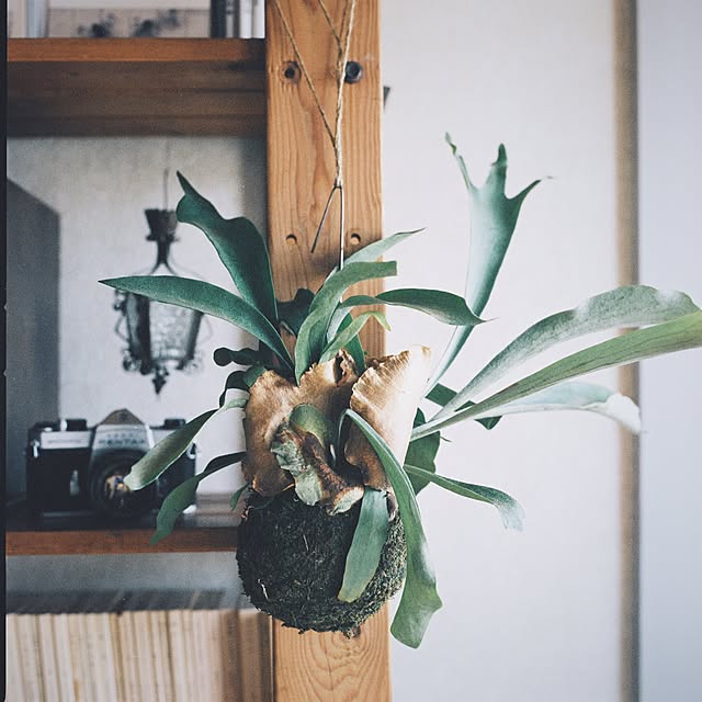 EVOBさんの実例写真