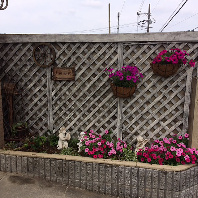 fujiさんの実例写真