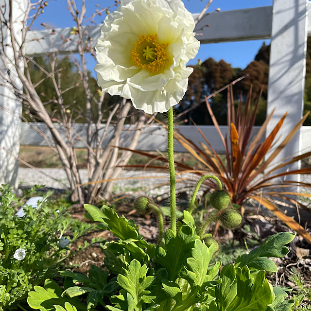 kmys0625さんの部屋