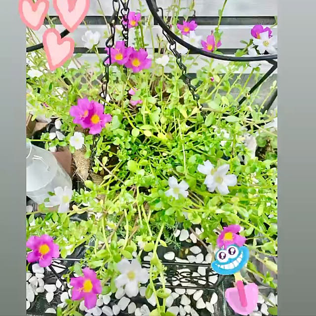 YuuKoさんの実例写真