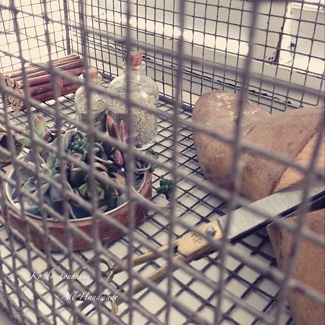honohinaさんの実例写真