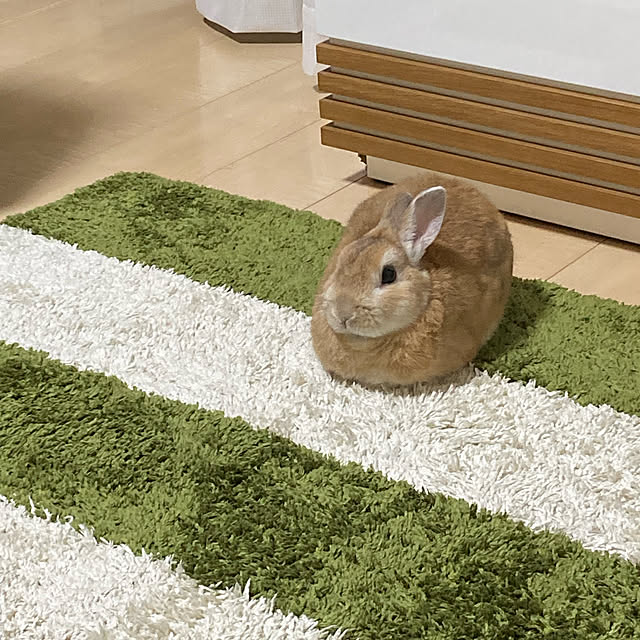 部屋全体のインテリア実例 - 2023-02-05 20:44:45
