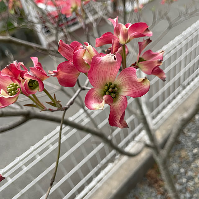 Andaluciaさんの部屋