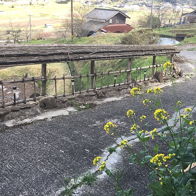 Naoさんの実例写真