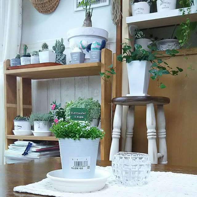 naopyiさんの実例写真