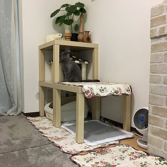 fionaさんの実例写真