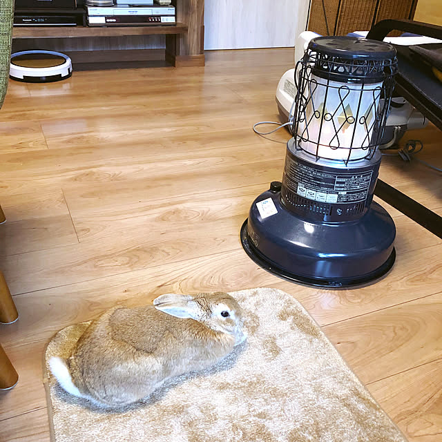 REEmamaさんの実例写真