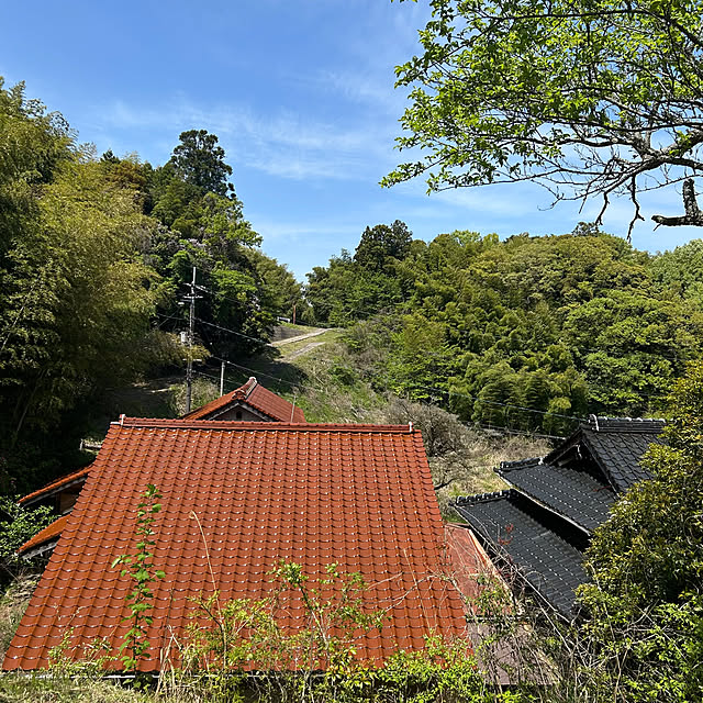 ritsukoさんの部屋