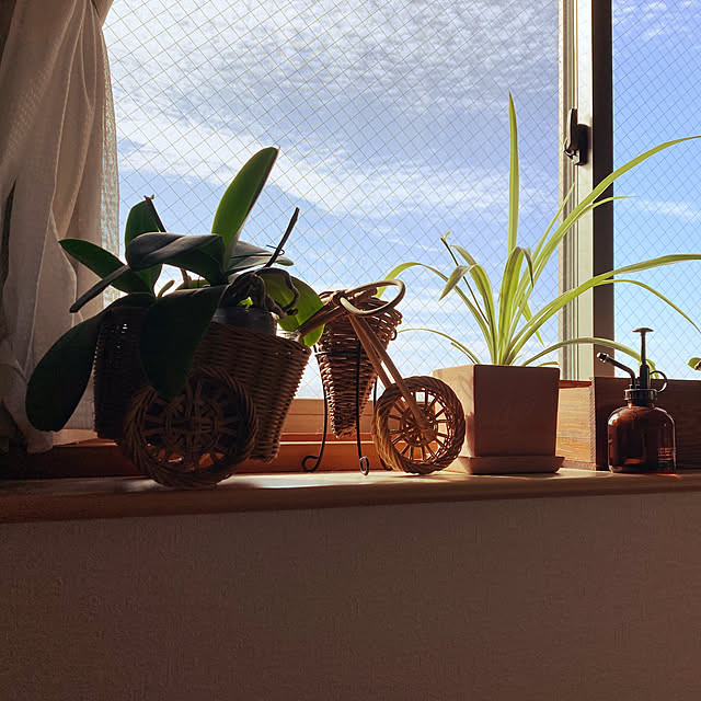 skay_ranさんの実例写真