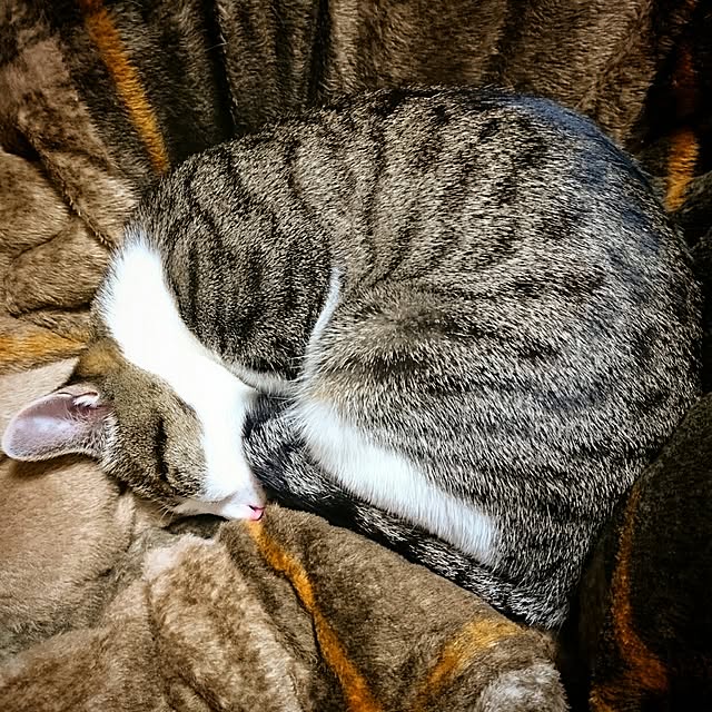 kiraさんの実例写真