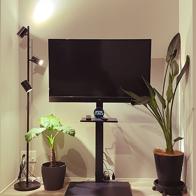 zuuuさんの実例写真