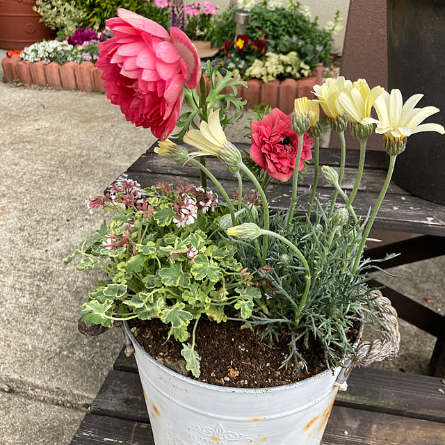 radwimps_05410さんの実例写真