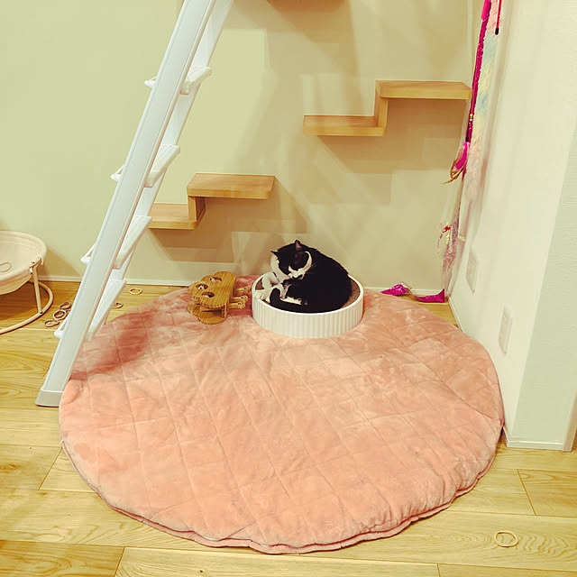 sakura_171220さんの実例写真