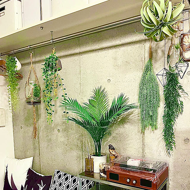 壁/天井/フェイクグリーン/雑貨/一人暮らし/ニトリ...などのインテリア実例 - 2026-01-30 21:23:51