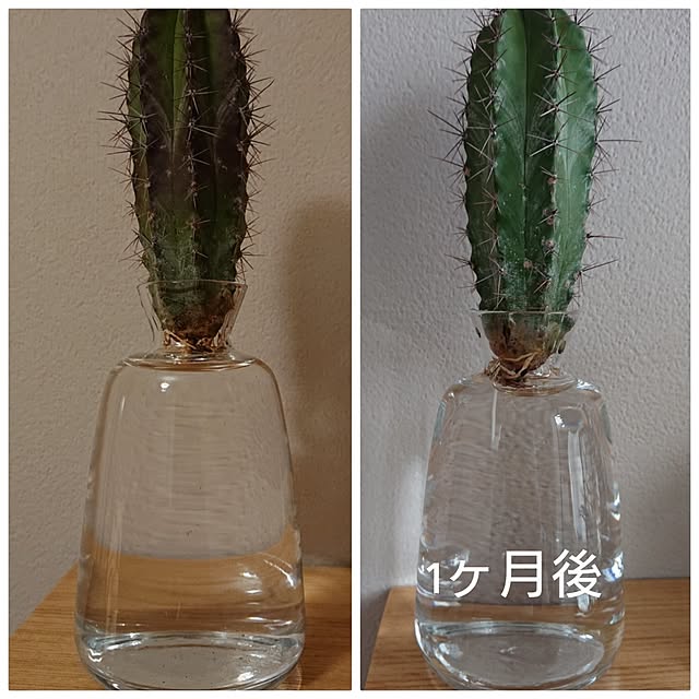 otokiさんの実例写真