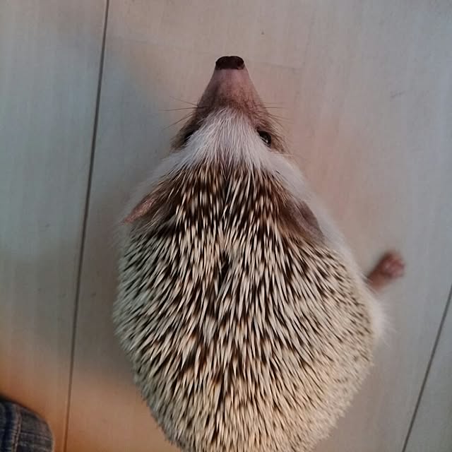 kuruさんの実例写真