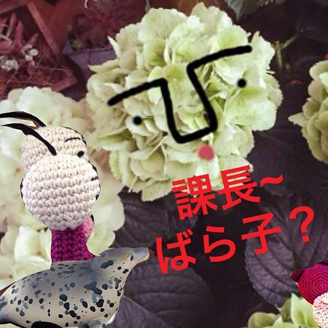 ponさんの実例写真
