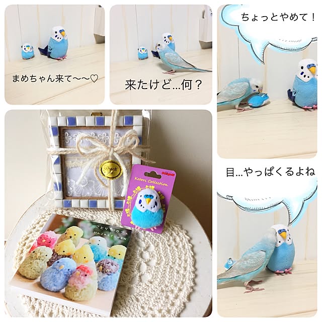 kusuttoさんの実例写真