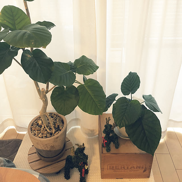 bellevagueさんの実例写真