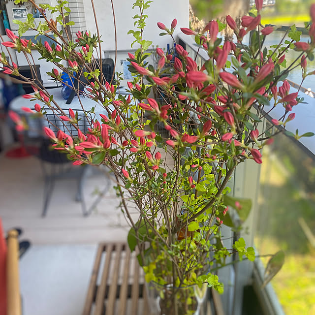 Yoheiさんの部屋