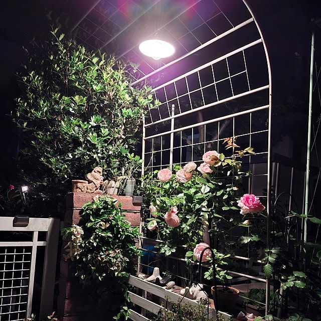 midoriさんの実例写真