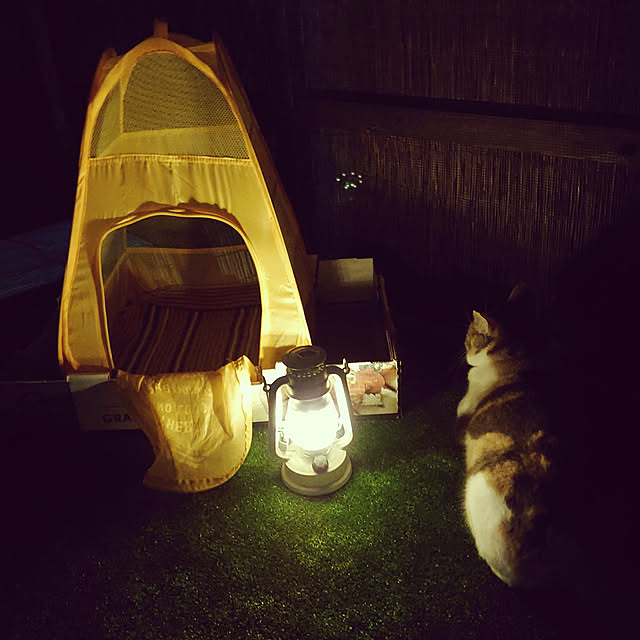 fukuさんの実例写真