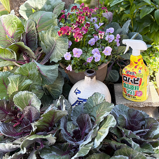 buchiさんの実例写真