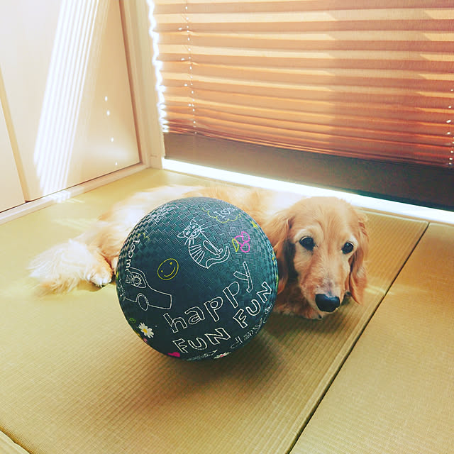maikaeさんの実例写真