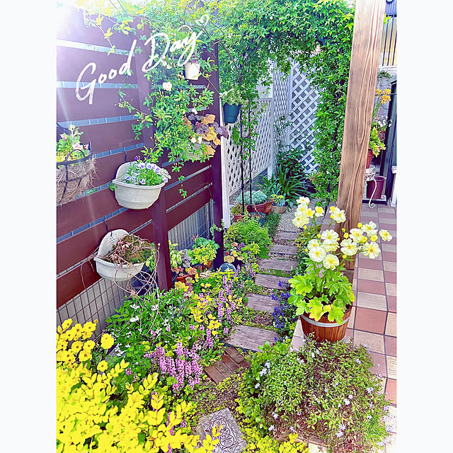 hinamamaさんの部屋