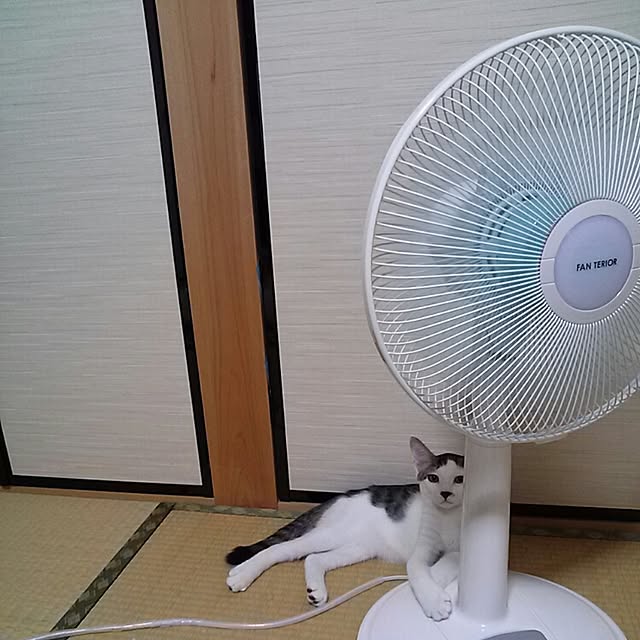 kamekoさんの実例写真