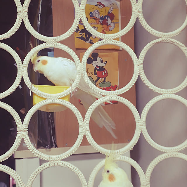 ANTENNAさんの実例写真