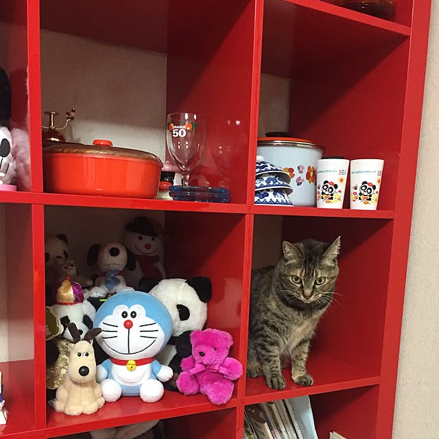 pokioさんの実例写真