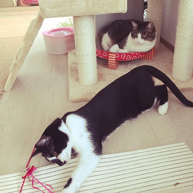 miruさんの実例写真