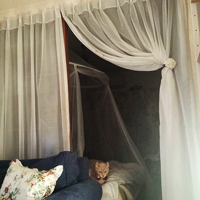 cottonさんの実例写真