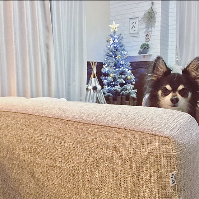 ponさんの実例写真