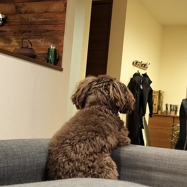 mococoさんの実例写真