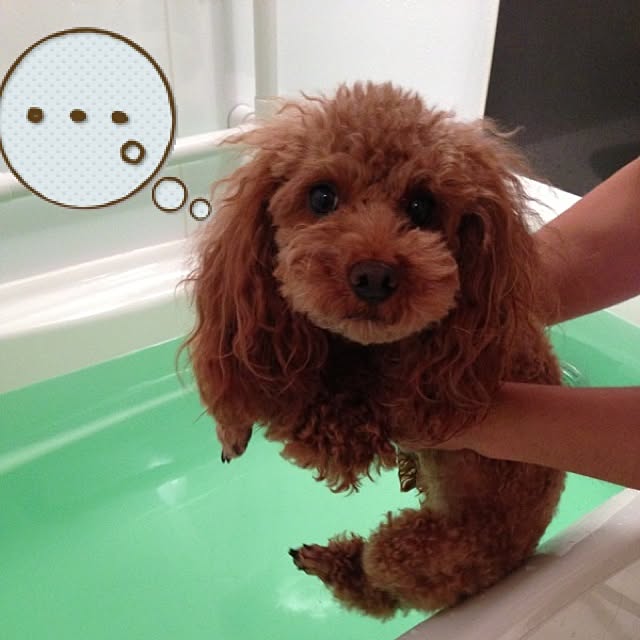 simbaさんの実例写真