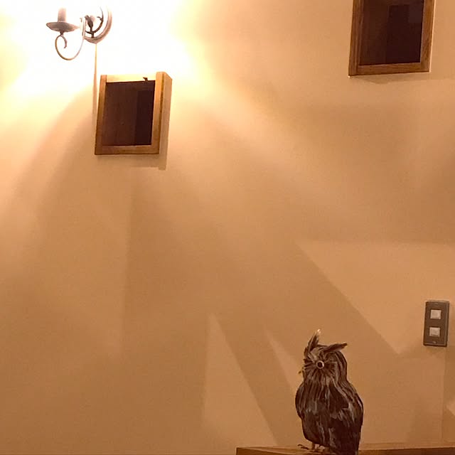 hoopiifeeさんの実例写真