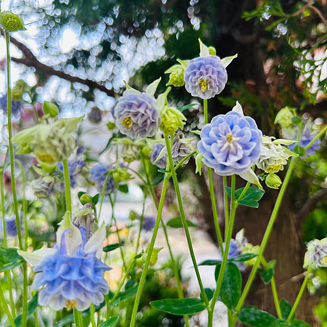 sunabaさんの実例写真